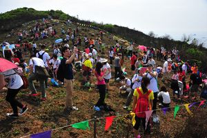 大嶺峒植樹日